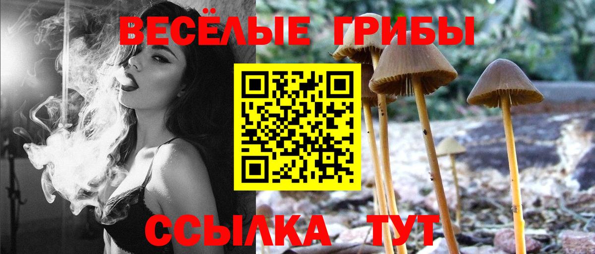 Псилоцибиновые грибы MAGIC MUSHROOMS Великий Новгород