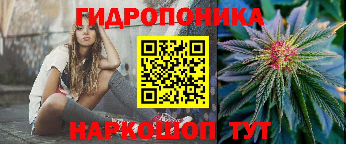 Шишки марихуана план  Вход с VPN  Канабис семена  Канабис конопля  Великий Новгород 